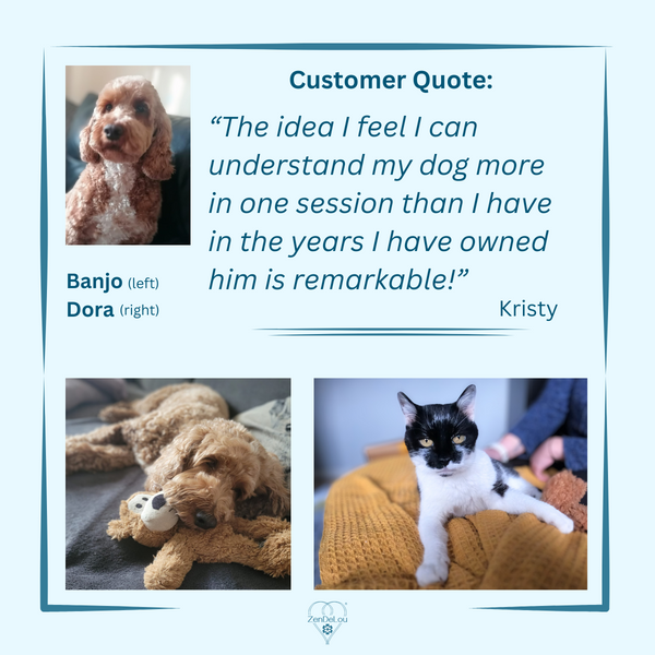 Photos of dog and cat with client quote: The idea I feel I can understand my dog more in one session than I have in the years I have owned him is remarkable!